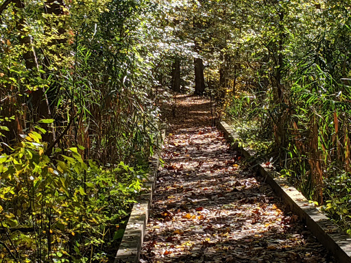 Museum «Audubon Museum & Nature Center», reviews and photos, 3100 US-41, Henderson, KY 42420, USA