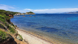 Foto von Plage de la Madrague wilde gegend