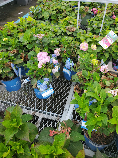 Home Improvement Store «The Home Depot», reviews and photos, 102 Aldi Dr, North Versailles, PA 15137, USA