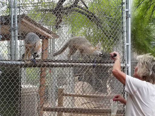 Wildlife Rescue Service «Southwest Wildlife Conservation Center», reviews and photos, 27026 N 156th St, Scottsdale, AZ 85262, USA