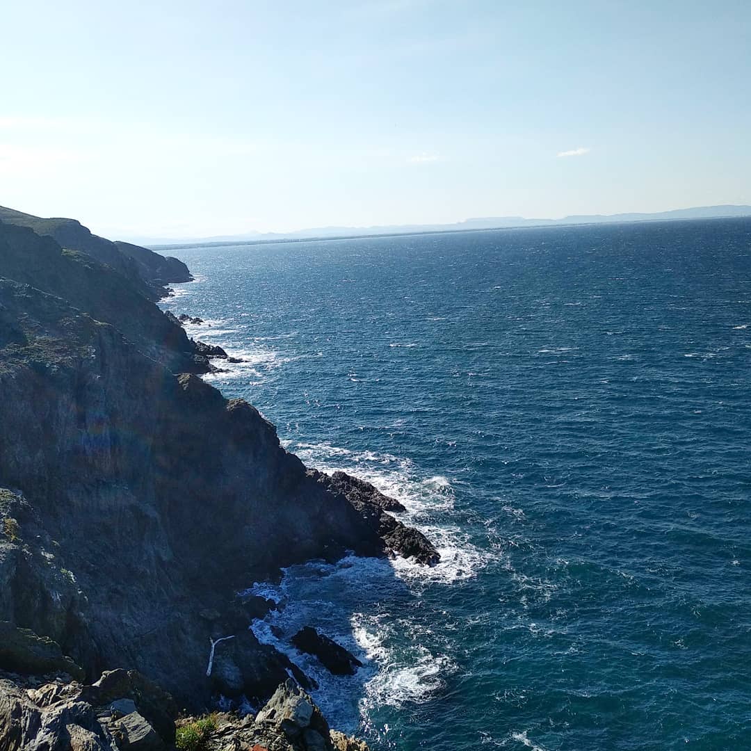 Photo n° 6 de l'avis de TARRAJAT.e fait le 29/07/2019 à 15:33
