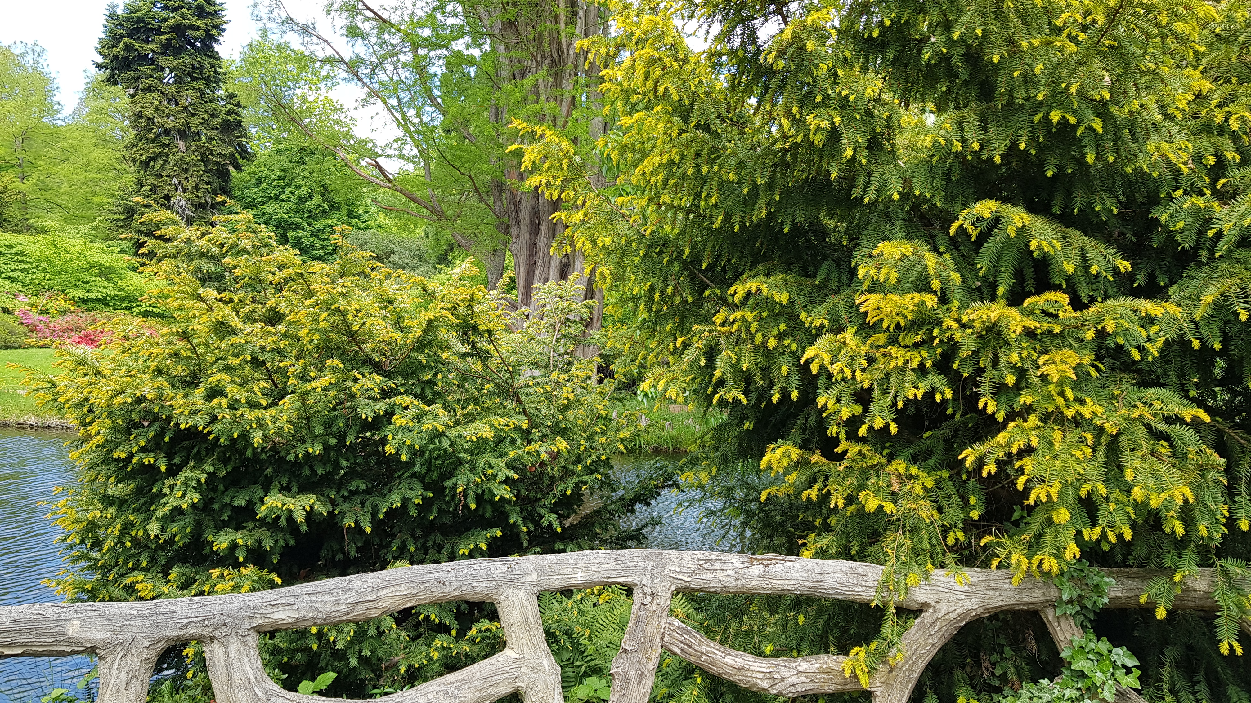 Photo n° 23 de l'avis de Marie.i fait le 20/05/2021 à 09:22