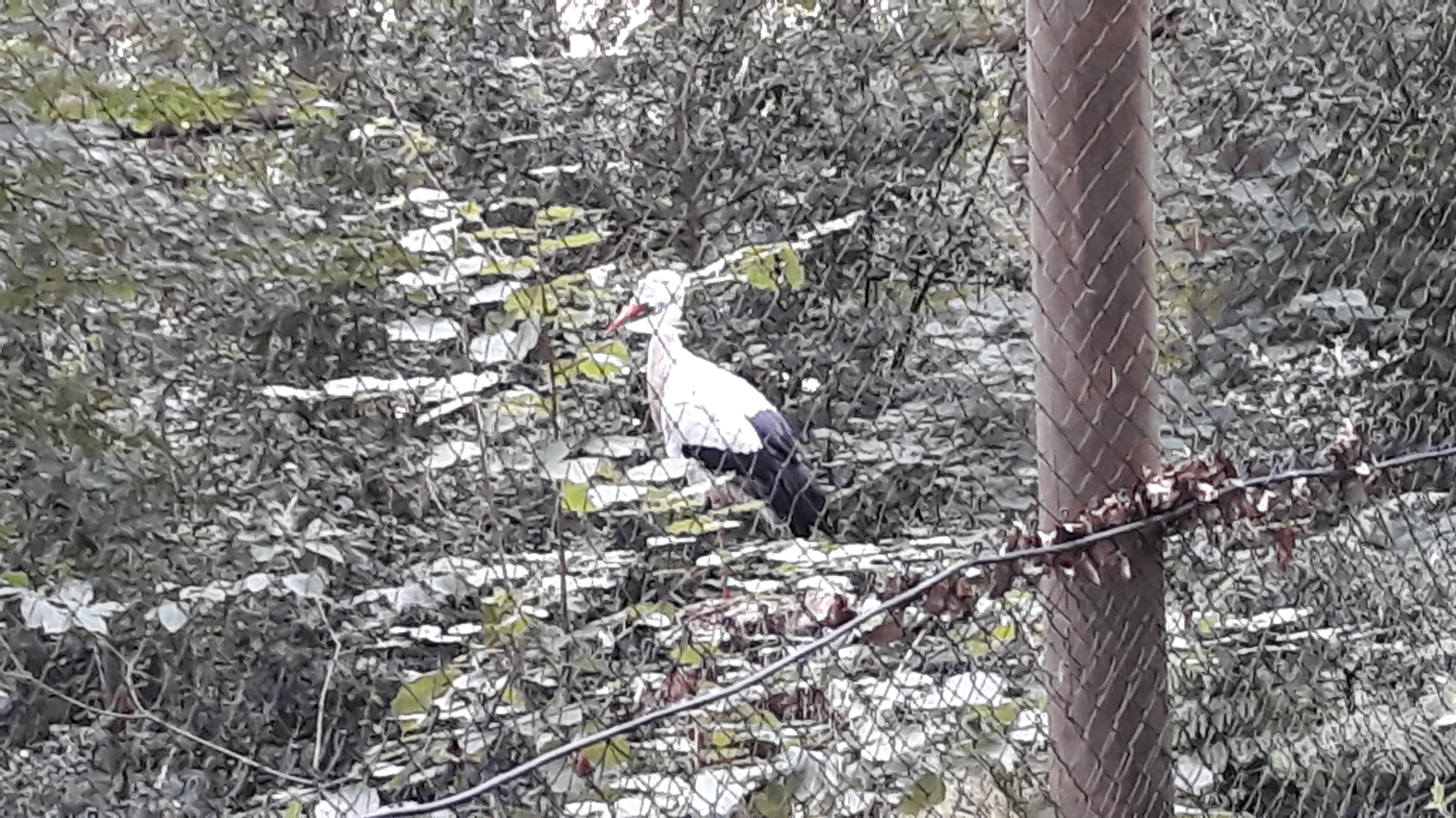 Photo n° 3 de l'avis de Carole.u fait le 17/08/2019 à 06:49