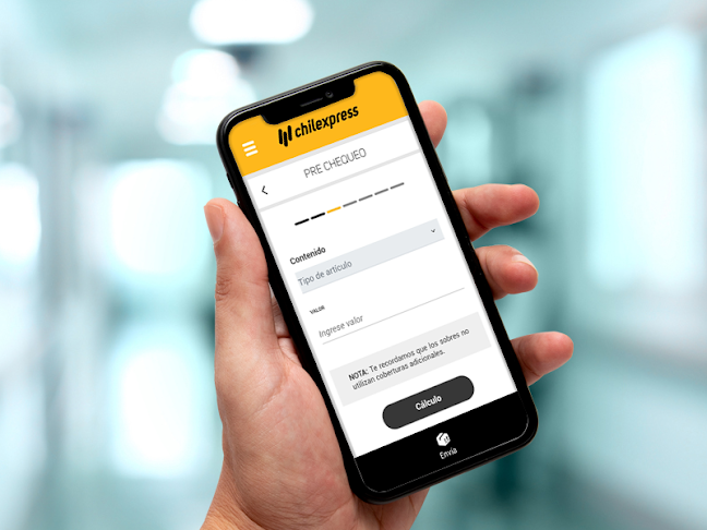 Chilexpress Pick Up Almacén Haydee - Maipú