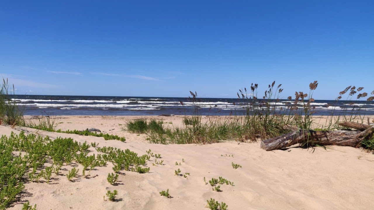 Fotografija Incupes nudistu pludmale z dolga ravna obala