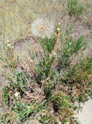 Park «Inspiration Point Park», reviews and photos, 4901 Sheridan Blvd, Denver, CO 80212, USA