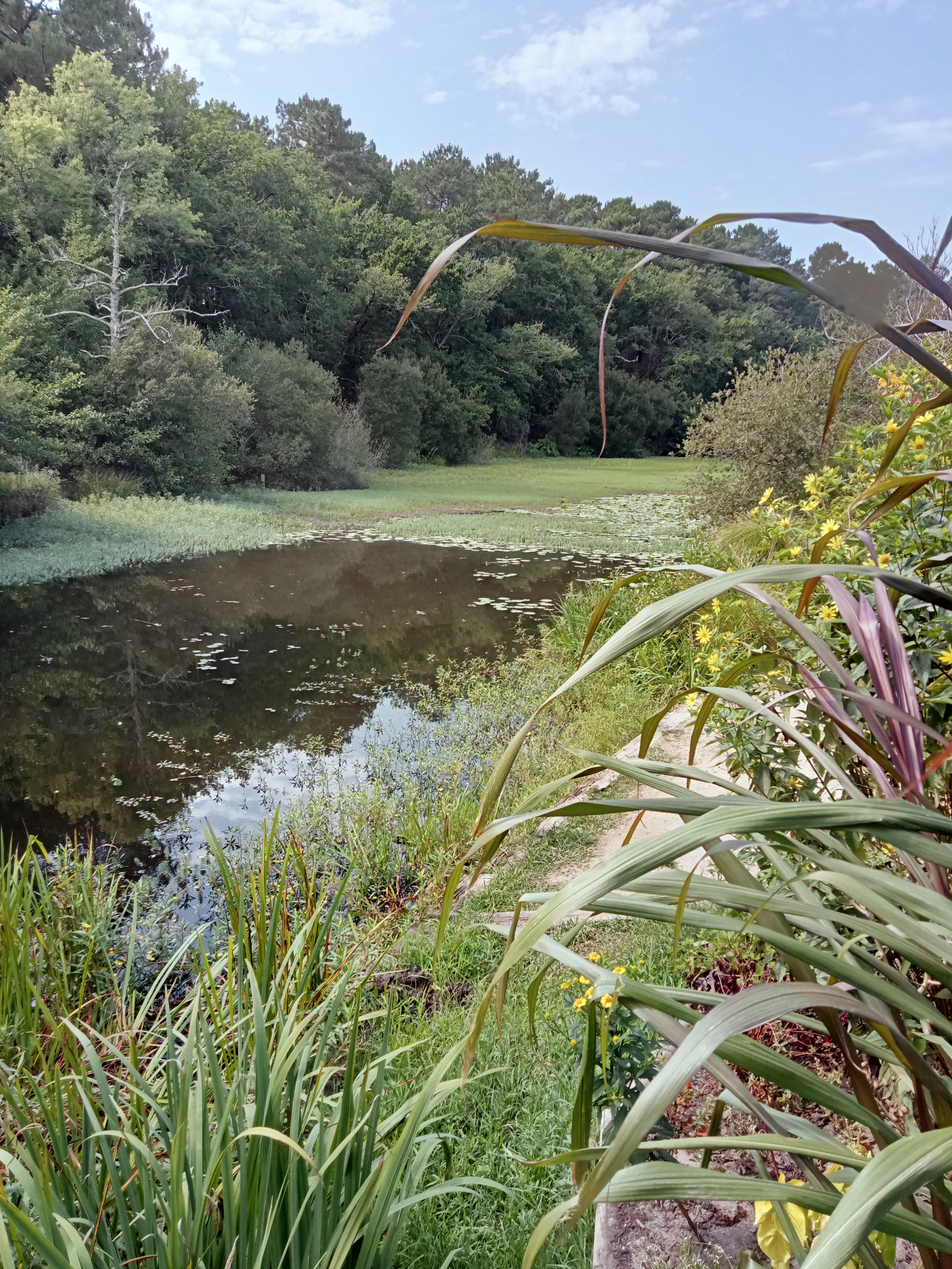 Photo n° 1 de l'avis de Au.r fait le 20/08/2022 à 13:18