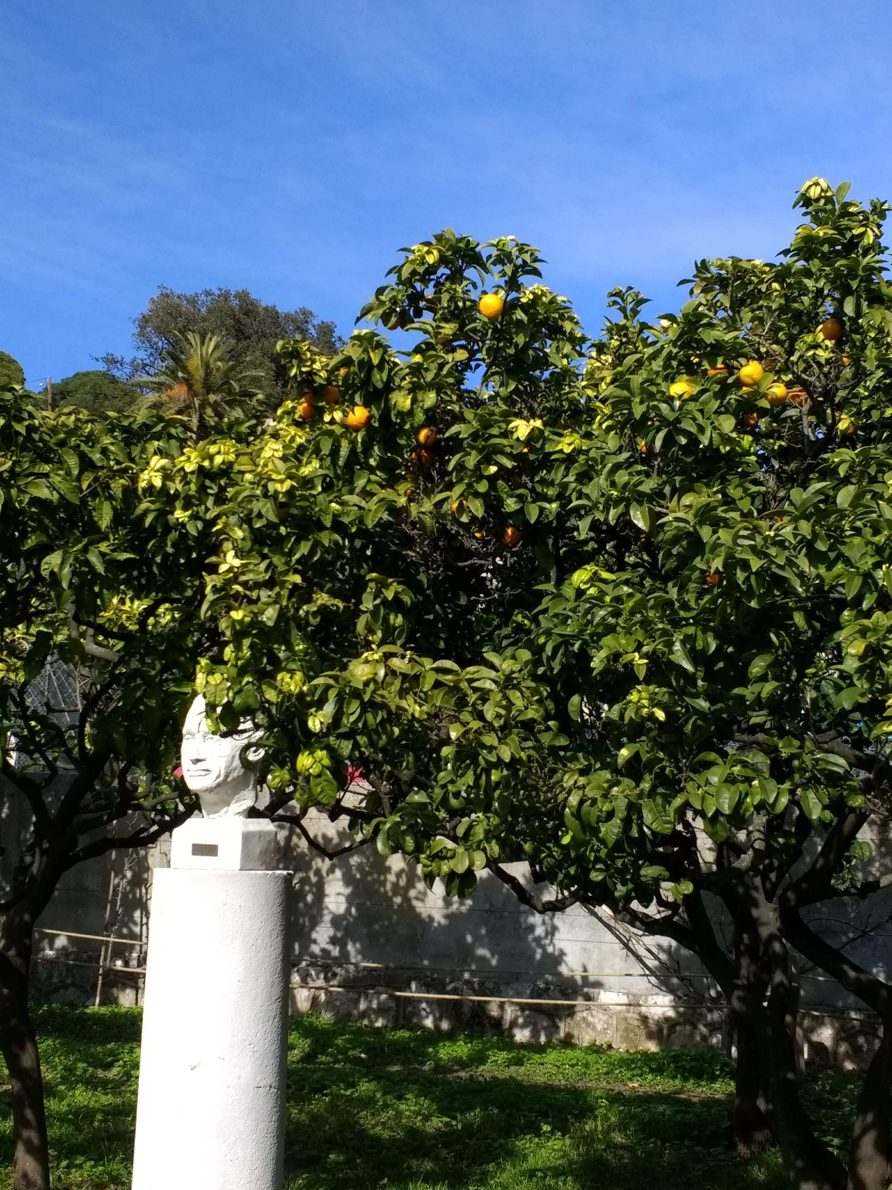 Photo n° 3 de l'avis de Monique.a fait le 23/03/2019 à 13:14
