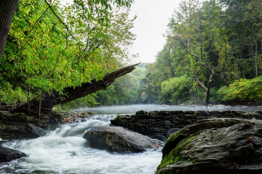 Friends of the Wissahickon