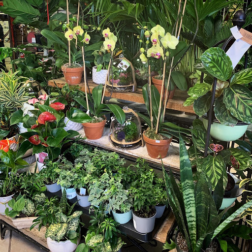 Florist «In The Garden», reviews and photos, 69 Waterwitch Ave, Highlands, NJ 07732, USA