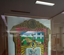 Central Public Library photo