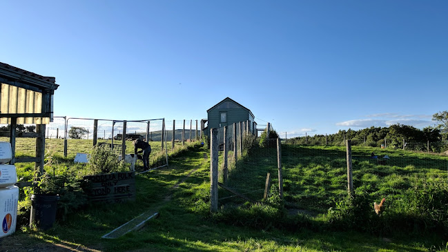 Woodlea Stables - Dunfermline