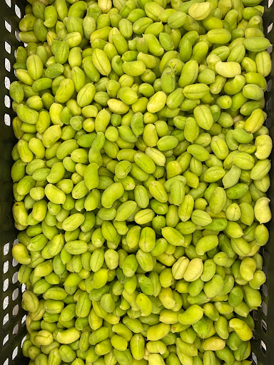 Kosher Grocery Store «Al-Taiba Market», reviews and photos, 1008 W Chapel Hill St, Durham, NC 27707, USA