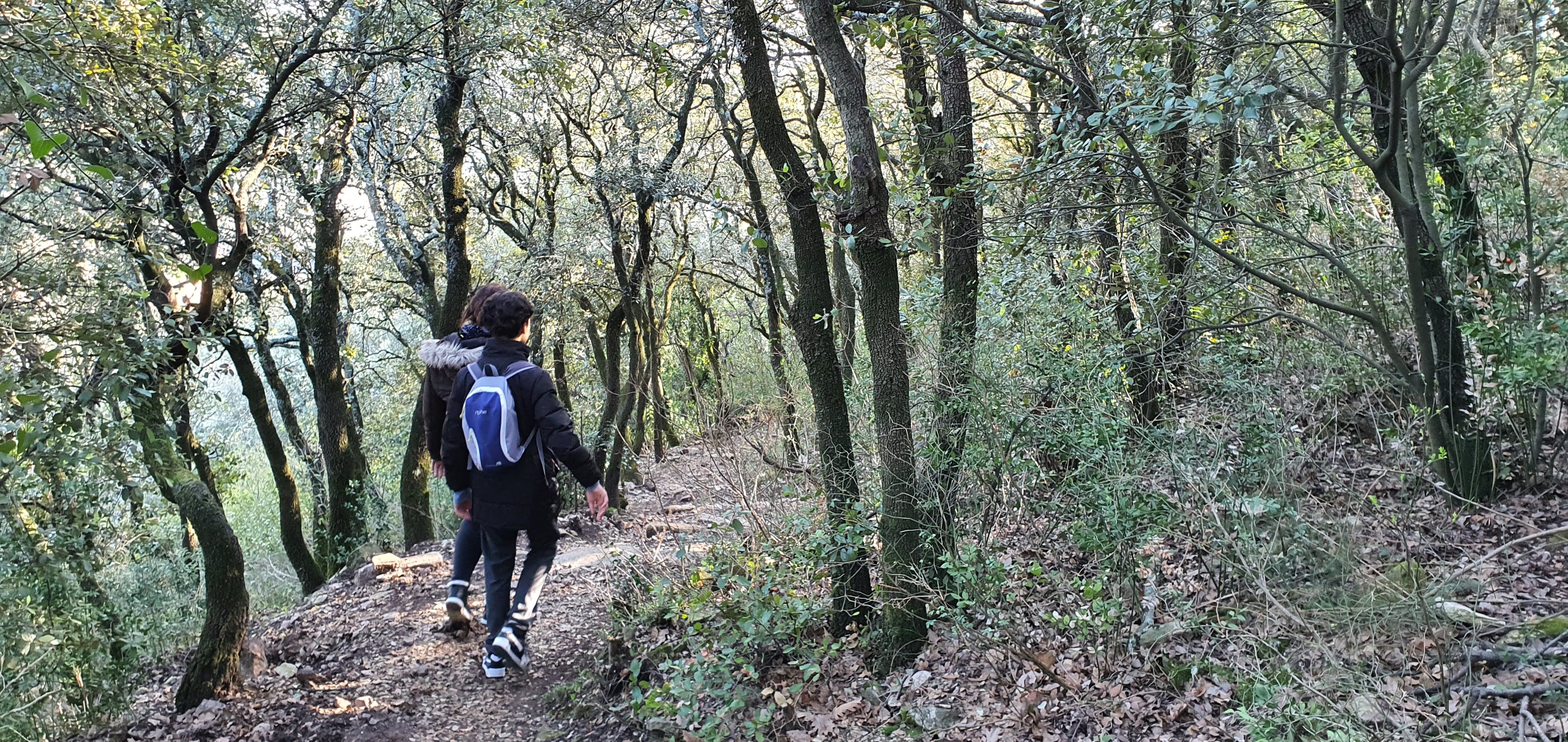Photo n° 4 de l'avis de Yangui.t fait le 20/02/2022 à 13:42