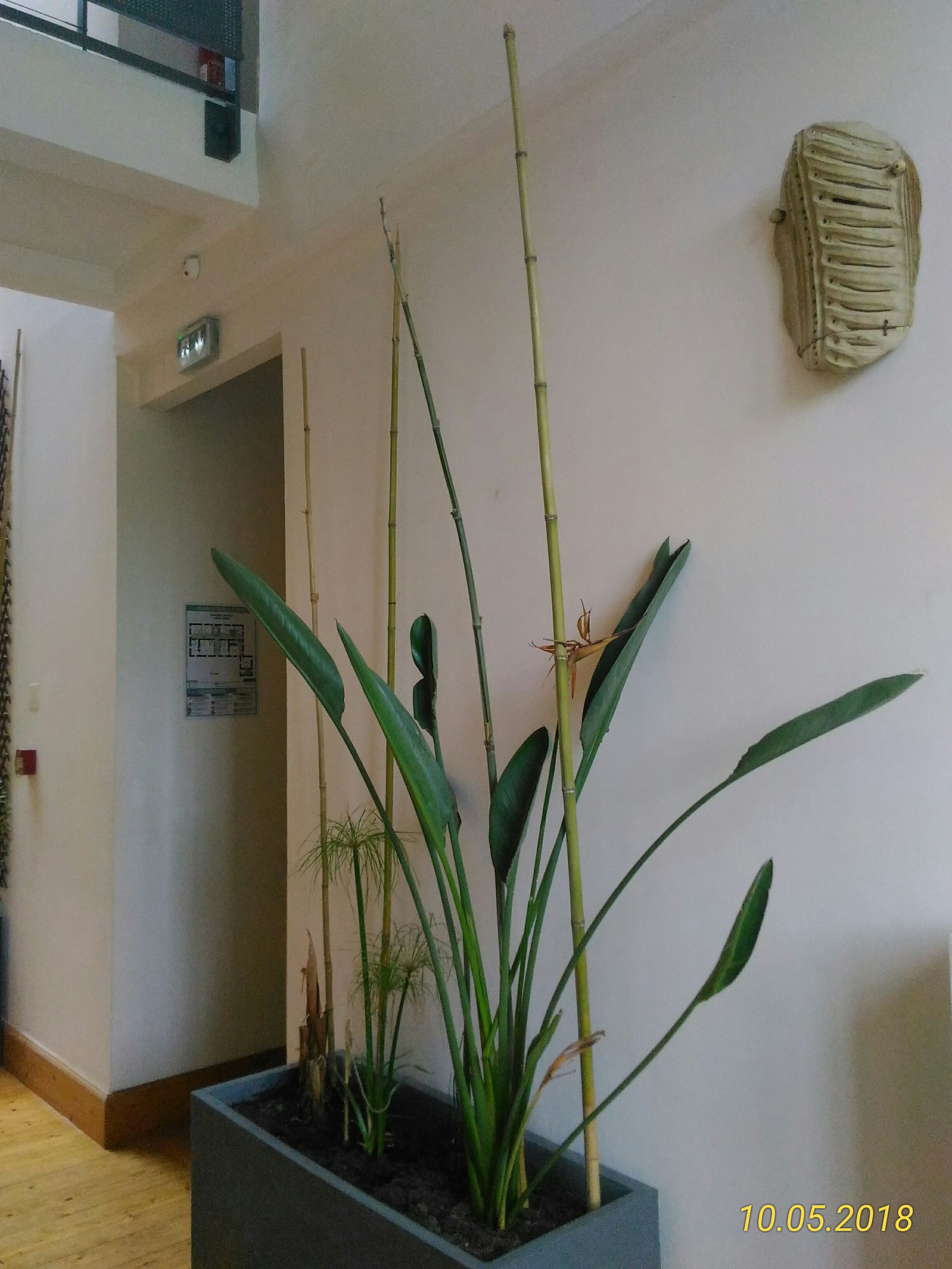 Photo n° 34 de l'avis de Marie.a fait le 13/05/2018 à 06:32