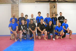 Barcelona Martial Arts Academy image