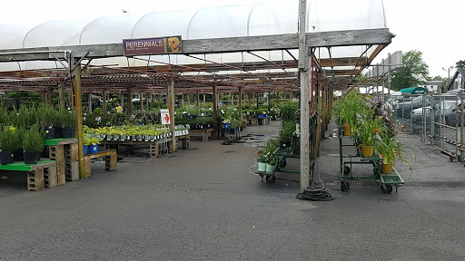 Garden Center «Dees Nursery & Florist», reviews and photos, 69 Atlantic Ave, Oceanside, NY 11572, USA