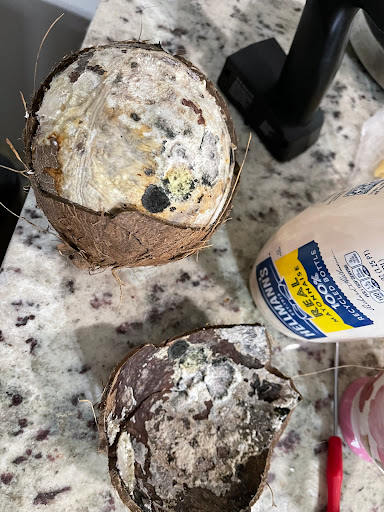 Grocery Store «Indian Bazar Greenwood IN», reviews and photos, 334 Emerson Avenue, Greenwood, IN 46143, USA