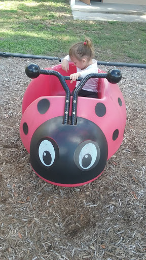 Park «Bennett Park», reviews and photos, Old Mt Dora Rd, Eustis, FL 32726, USA