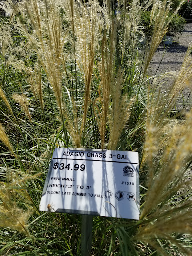 Plant Nursery «Guerin Nursery and Boutique», reviews and photos, 1418 Fall Creek Hwy, Granbury, TX 76049, USA