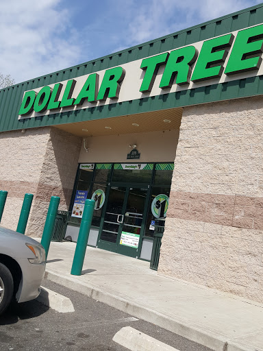 Dollar Store «Dollar Tree», reviews and photos, 399 E Broad St, Bridgeton, NJ 08302, USA