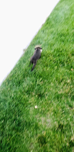 Park «The Ralston-Central Park», reviews and photos, 5850 Garrison St, Arvada, CO 80002, USA