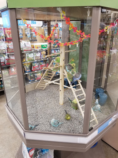 Pet Supply Store «Petco Animal Supplies», reviews and photos, 157-20 Cross Bay Blvd, Howard Beach, NY 11414, USA