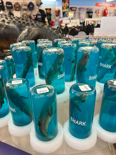 Gift Shop «Magic Castle Gift Kingdom», reviews and photos, 7646 W Irlo Bronson Memorial Hwy, Kissimmee, FL 34747, USA