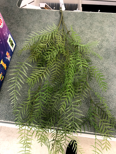 Fabric Store «Jo-Ann Fabrics and Crafts», reviews and photos, 4514 N Harlem Ave, Norridge, IL 60706, USA