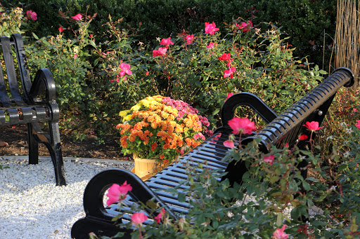 Gym «Wings Fitness», reviews and photos, 2100 NJ-35, Sea Girt, NJ 08750, USA