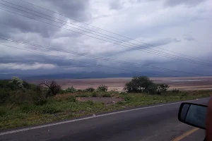 Laguna de Sayula image