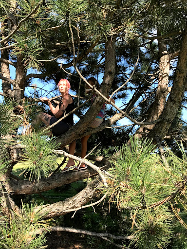 Park «Prestemon Park», reviews and photos, 3900 NE McKinley St, Columbia Heights, MN 55421, USA