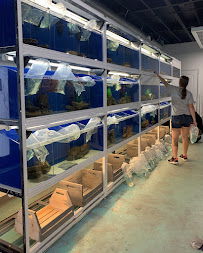 Koi Smart Pond & Aquarium Supply Store - Photo 4 - Car repair in Riviera Beach, FL, West Palm Beach