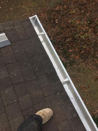 Animal Control Service «Xceptional Wildlife Removal», reviews and photos