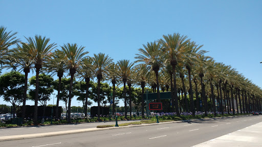 Restaurant «The Cheesecake Factory», reviews and photos, 321 W Katella Ave, Anaheim, CA 92802, USA