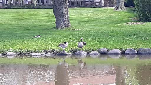 Nature Preserve «Cook County Forest Preserve», reviews and photos, 1700 N Quentin Rd, Palatine, IL 60074, USA