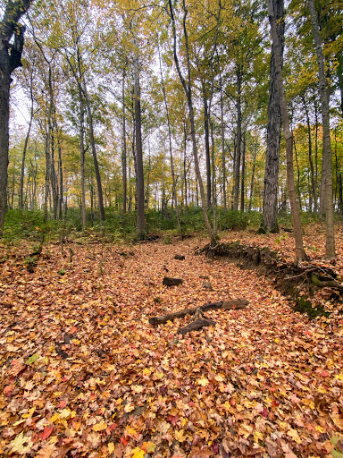Nature Preserve «Sweet Arrow Reserve», reviews and photos, 789 Little Sugarcreek Rd, Sugarcreek Township, OH 45440, USA
