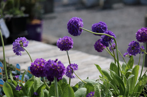 Park «Depot Park», reviews and photos, 120 South Rd, Bedford, MA 01730, USA