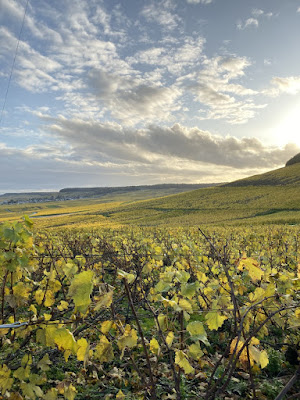 Champagne view à Chouilly