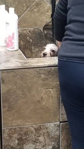 Pet Store «Pet Valu», reviews and photos, 385 N Central Ave, Hartsdale, NY 10530, USA