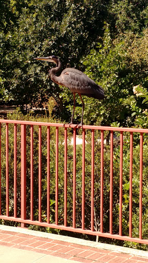 Zoo «Tulsa Zoo», reviews and photos, 6421 E 36th St N, Tulsa, OK 74115, USA