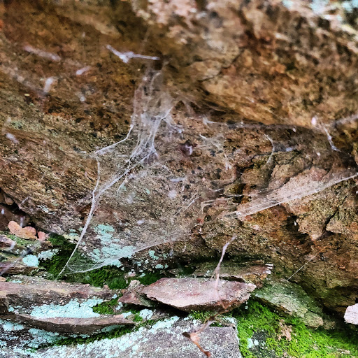 National Park «George Washington Memorial Parkway First Overlook», reviews and photos, George Washington Memorial Pkwy, Arlington, VA 22207, USA