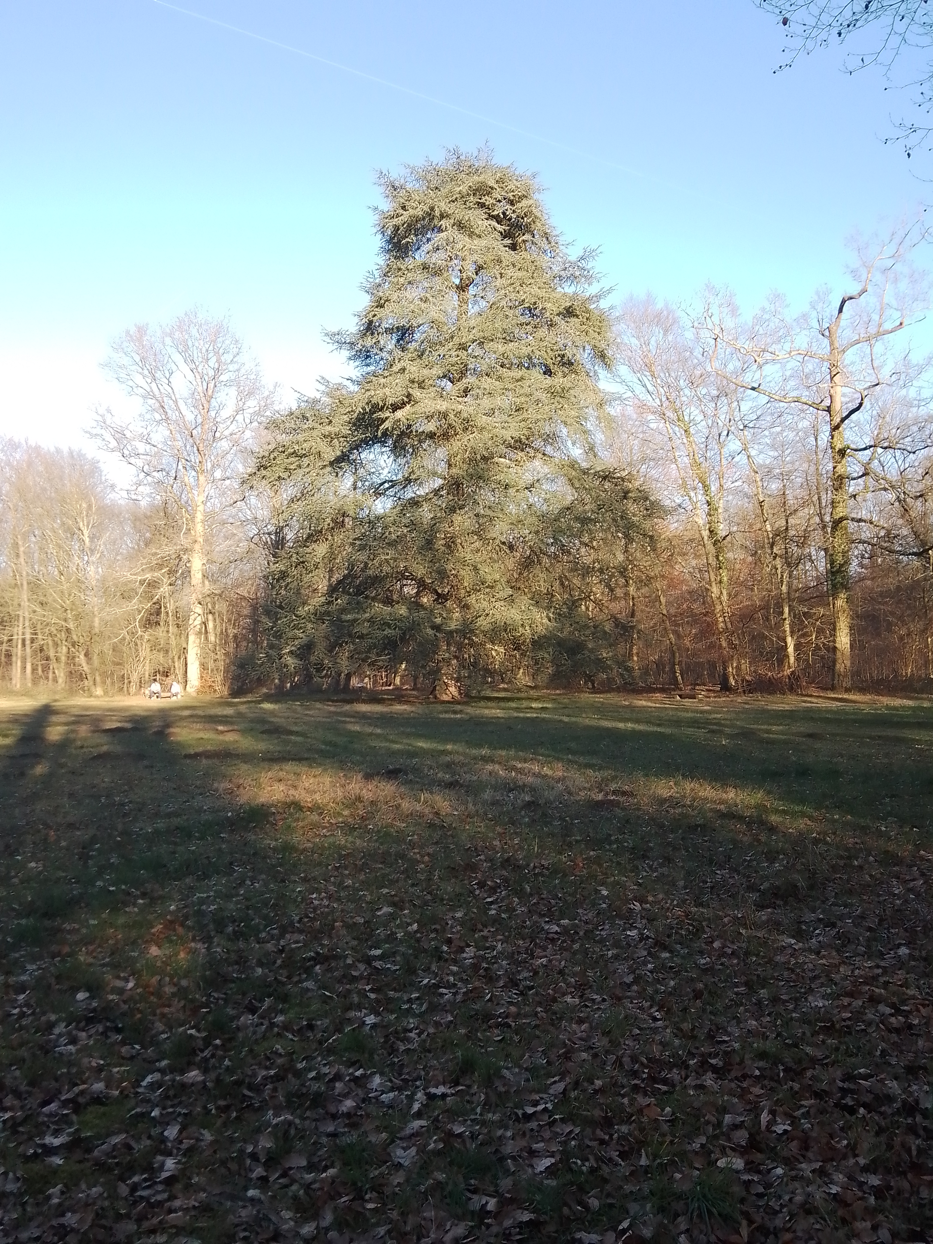 Photo n° 7 de l'avis de De.o fait le 13/10/2023 à 07:58