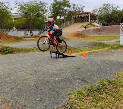 Pista BMX William Alexander Jimenez