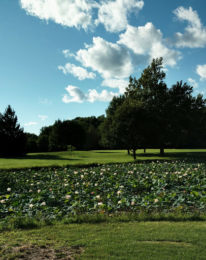 Golf Course «Lake of the Woods Golf Course», reviews and photos, 405 N Lake of the Woods Rd, Mahomet, IL 61853, USA