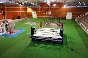 AKBM Asociacion De Kick Boxing Del Edo De Mex image