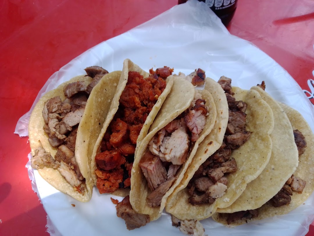 Tacos El Zorris