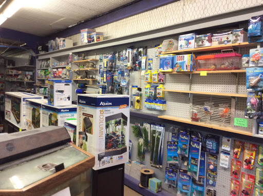 Pet Store «Oasis Tropicals», reviews and photos, 507 Commerce St, Pleasanton, TX 78064, USA