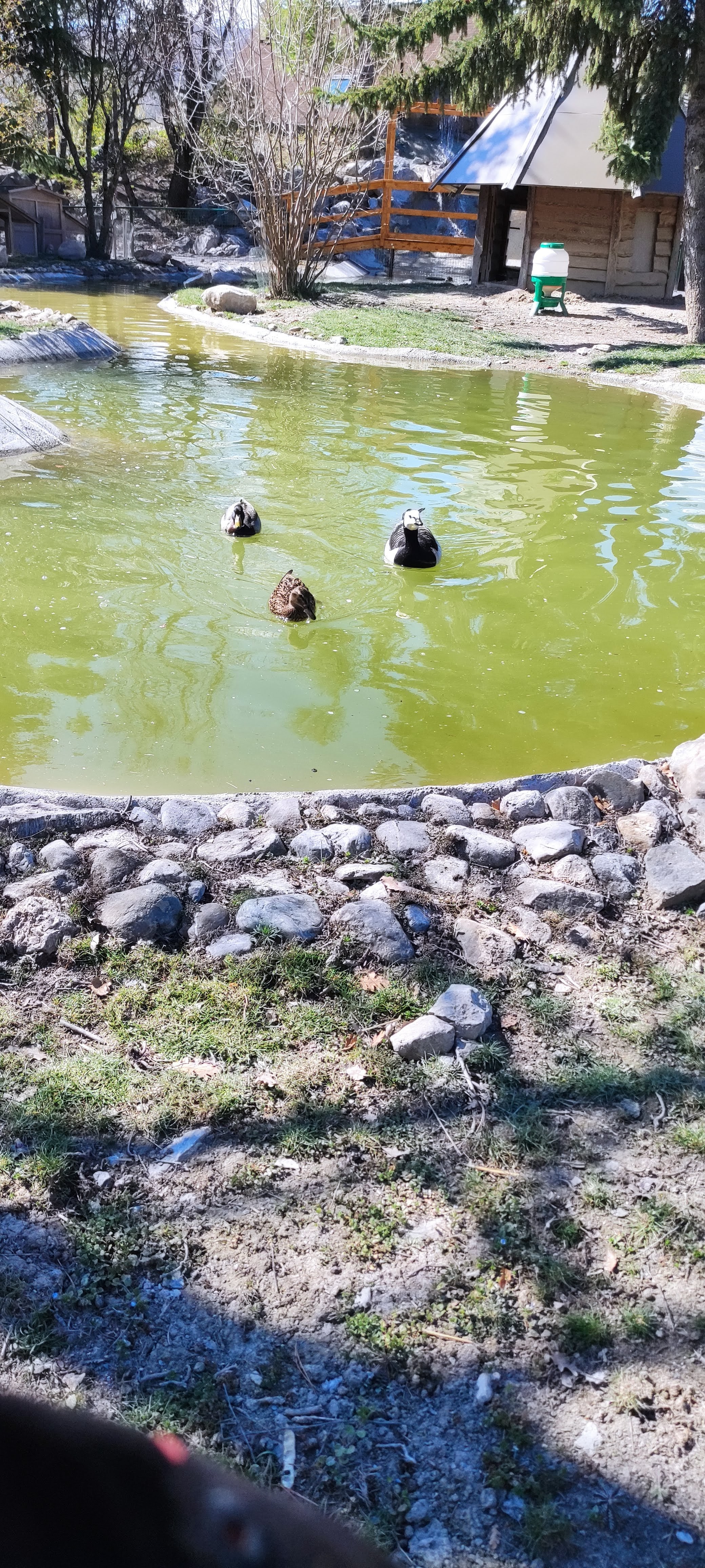 Photo n° 2 de l'avis de Alexia.a fait le 20/04/2023 à 07:36