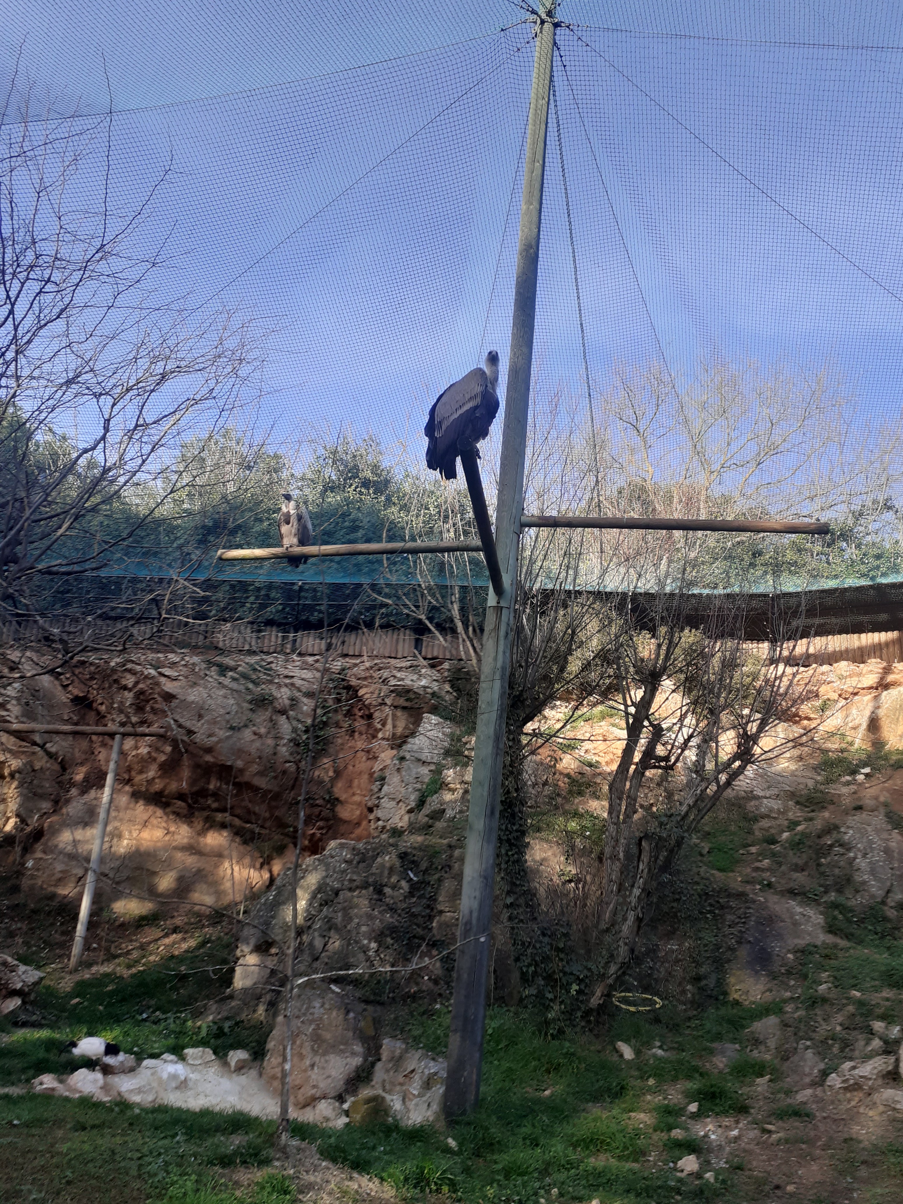 Photo n° 10 de l'avis de Abdelhamid.L fait le 22/02/2024 à 20:52